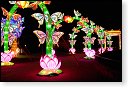 china light licht festival lichtshow show festiviteit glow evenement event chinees chinese verlichting draak dragon lichtfestival zoo